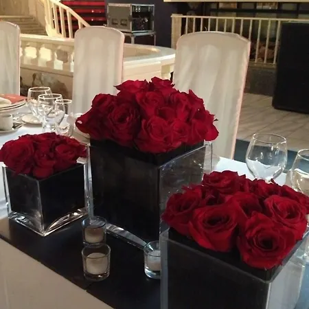 Complejo Hostelero Paladium