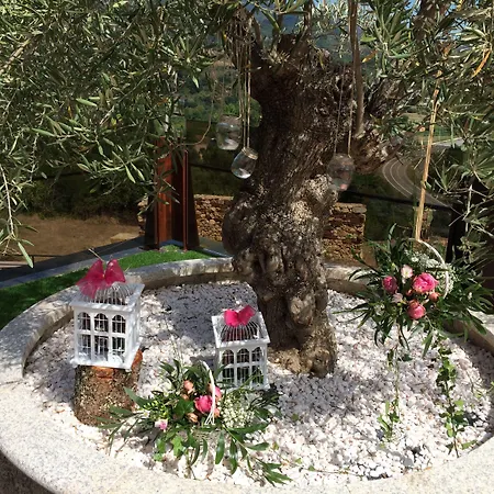 Complejo Hostelero Paladium Villamartín