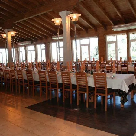 Complejo Hostelero Paladium 3*