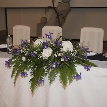 Complejo Hostelero Paladium מלון