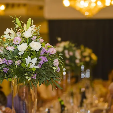 Hotel Complejo Hostelero Paladium Villamartín