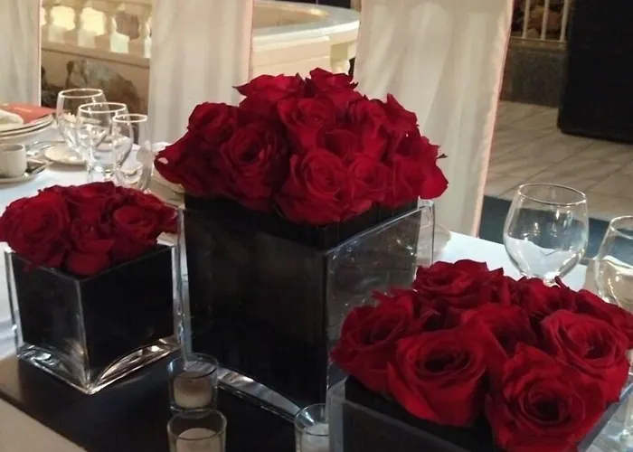 Complejo Hostelero Paladium