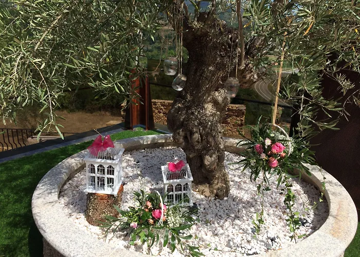 Complejo Hostelero Paladium Villamartín